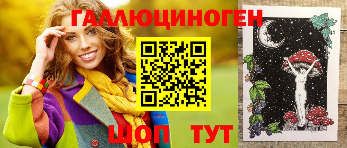 Галлюциногенные грибы Psilocybe Чернушка