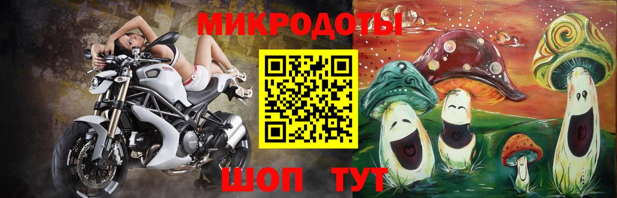 Чернушка  Галлюциногенные грибы GOLDEN TEACHER  Вход с VPN  Псилоцибиновые грибы MAGIC MUSHROOMS 